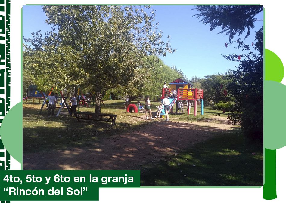 2019: 4to, 5to y 6to de Primaria en la granja «Riincón del Sol»