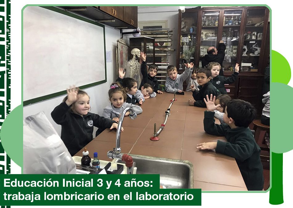 2019: Ed. Inicial 3 y 4 años trabaja con el lombricario en el laboratorio